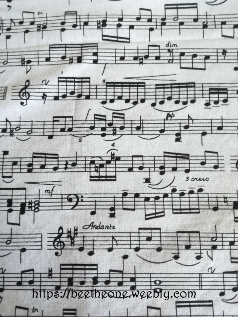 CAHIER DE MUSIQUE - PORTEE 1x Piano Partition musicale - Cdiscount  Instruments de musique